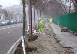 Los operarios retiran el adoquinado del viejo carril bici para construir un parterre en Juan Carlos I, entre Pingüino y el paseo del Cauce. Al otro lado, se eliminará la hilera de aparcamientos para habilitar el nuevo paso para ciclistas.