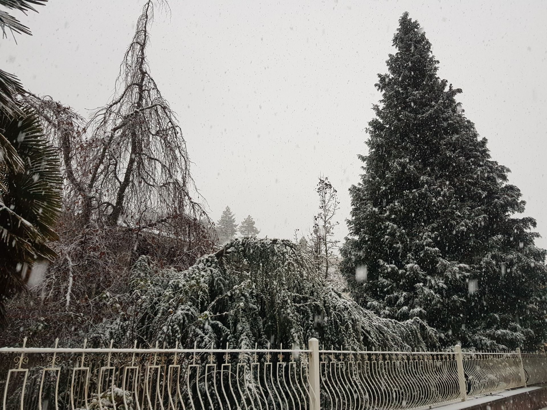 La &#039;bestia del Este&#039; llega al norte de Palencia