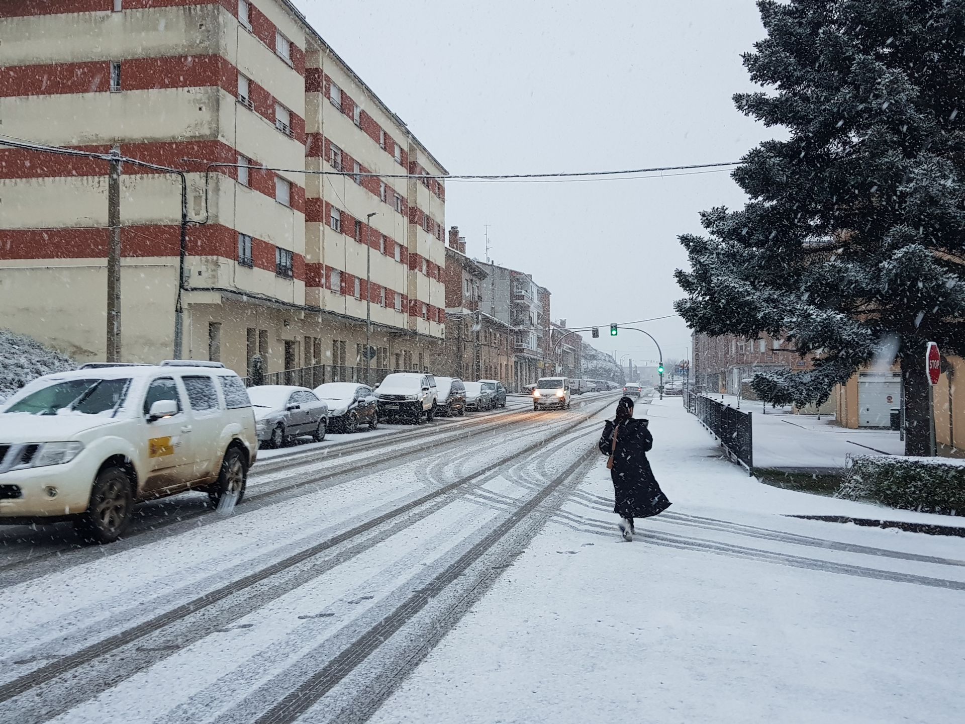 La &#039;bestia del Este&#039; llega al norte de Palencia