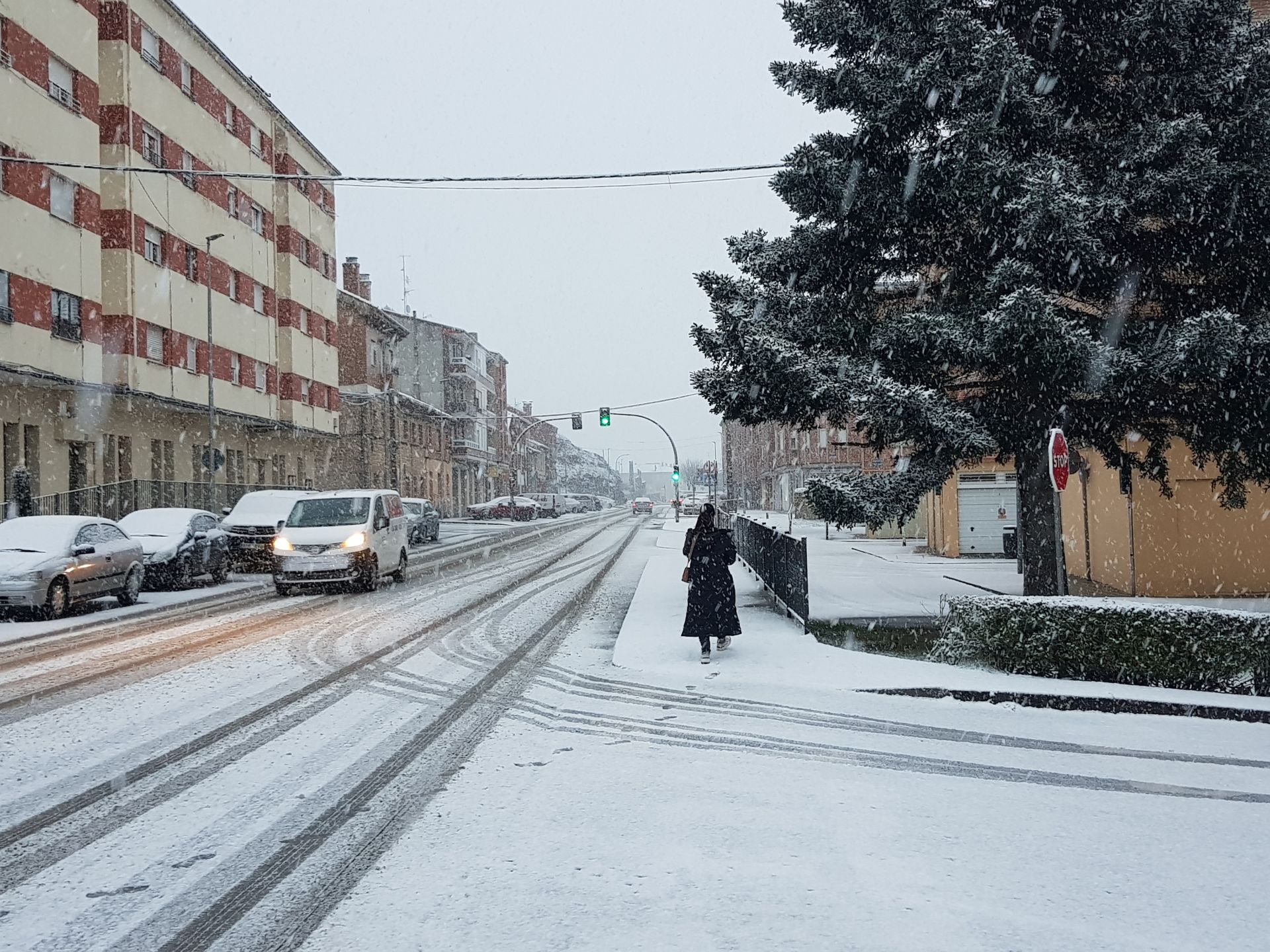 La &#039;bestia del Este&#039; llega al norte de Palencia