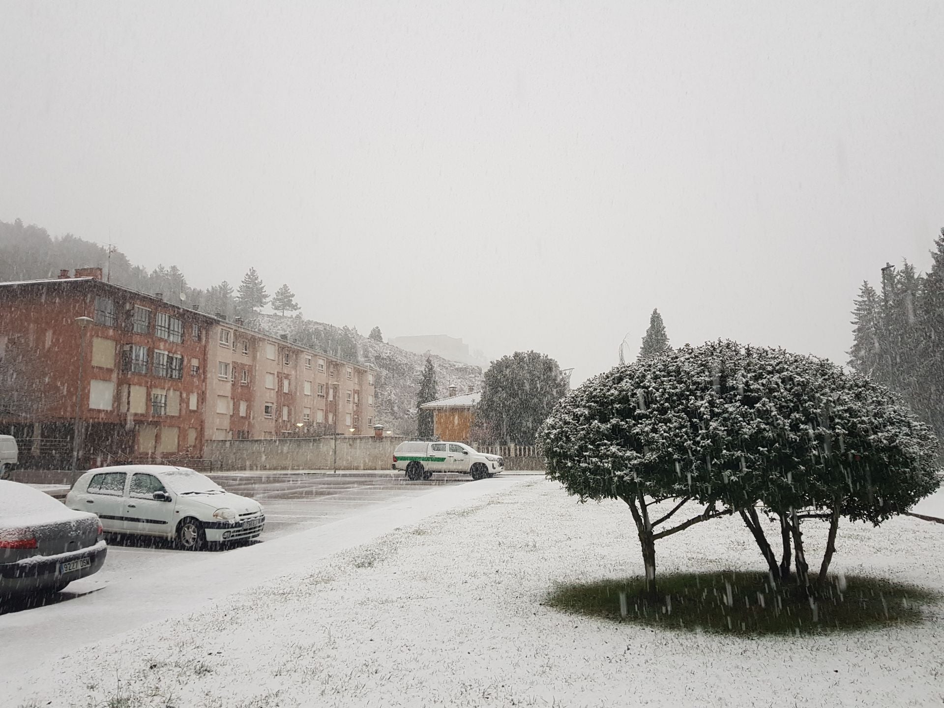 La &#039;bestia del Este&#039; llega al norte de Palencia