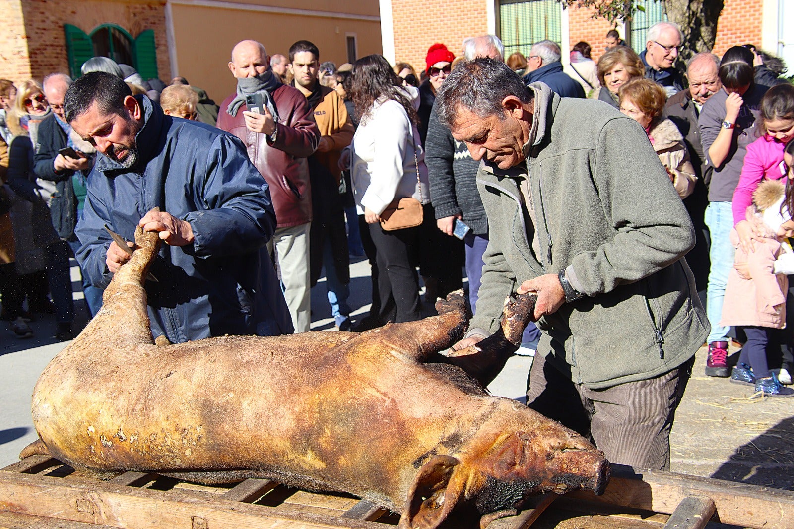 Palazuelo de Vedija celebra la fiesta de la matanza