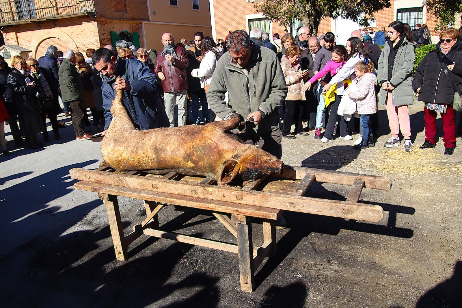 Palazuelo de Vedija celebra la fiesta de la matanza