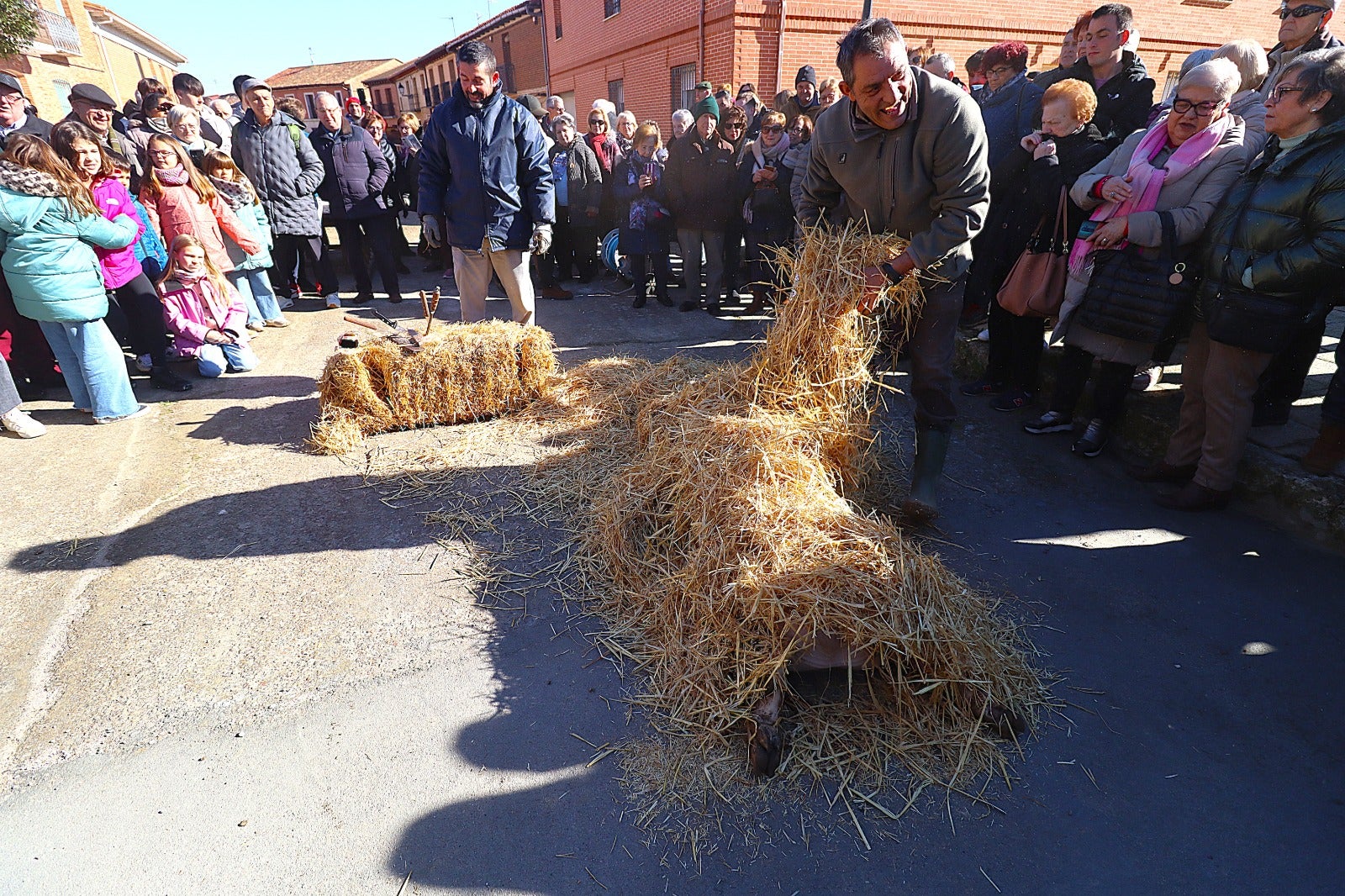 Palazuelo de Vedija celebra la fiesta de la matanza