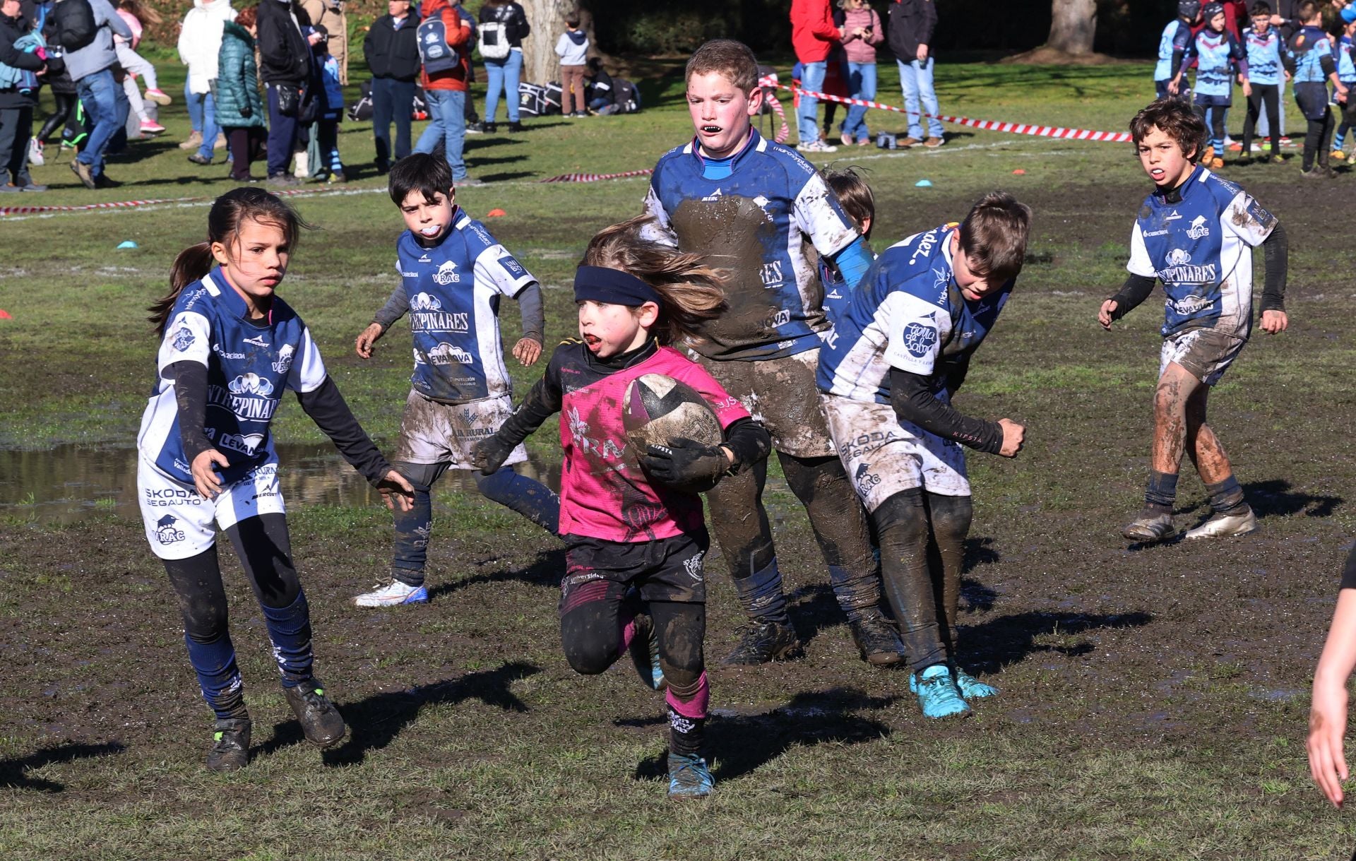 Palencia, cantera del rugby regional