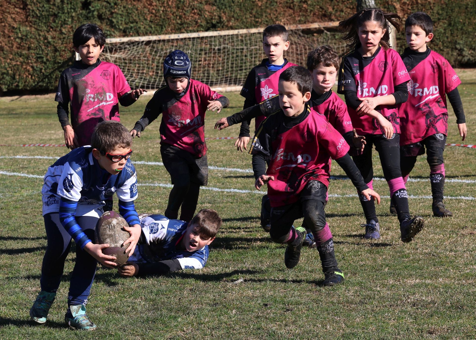 Palencia, cantera del rugby regional