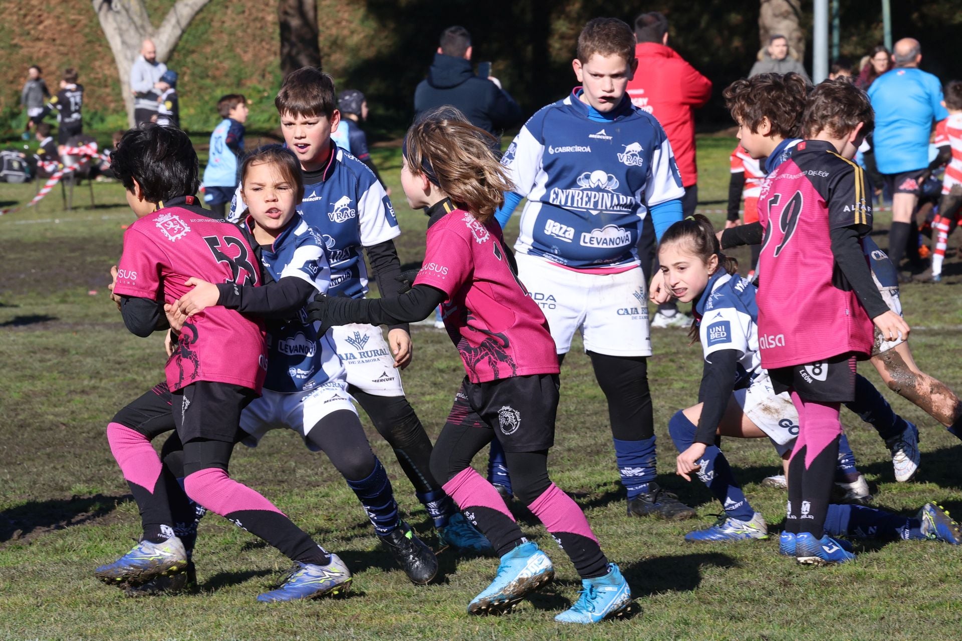 Palencia, cantera del rugby regional