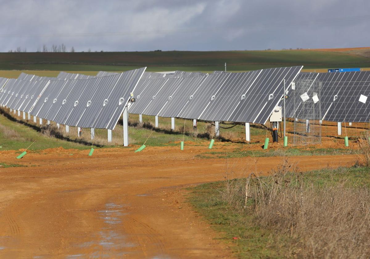 Placas solares situadas en un terreno de Becerril de Campos.