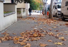 Hojas caídas en la calle Hernando de Acuña de Parquesol, hace unos meses.