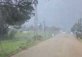 Un tornado en Huelva tira árboles y tejados a su paso