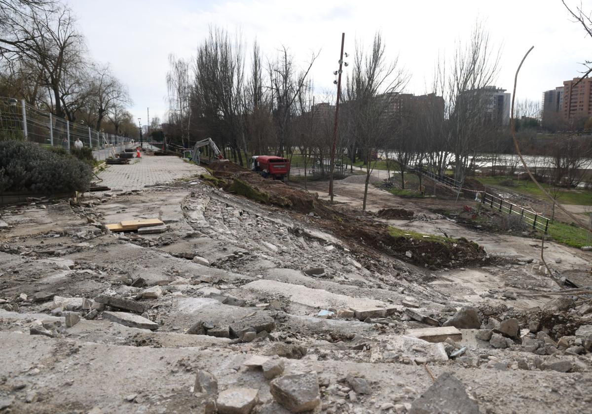 La obra del carril bici de Isabel la Católica, en imágenes