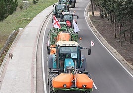 Los tractores bajan por la calle José Acosta en dirección a la calle Mieses.