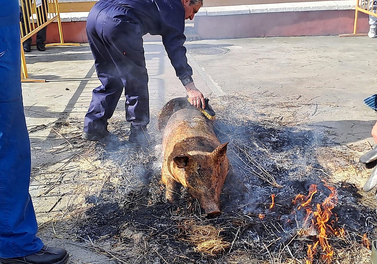 Jornada de la Matanza en Laguna de Duero.