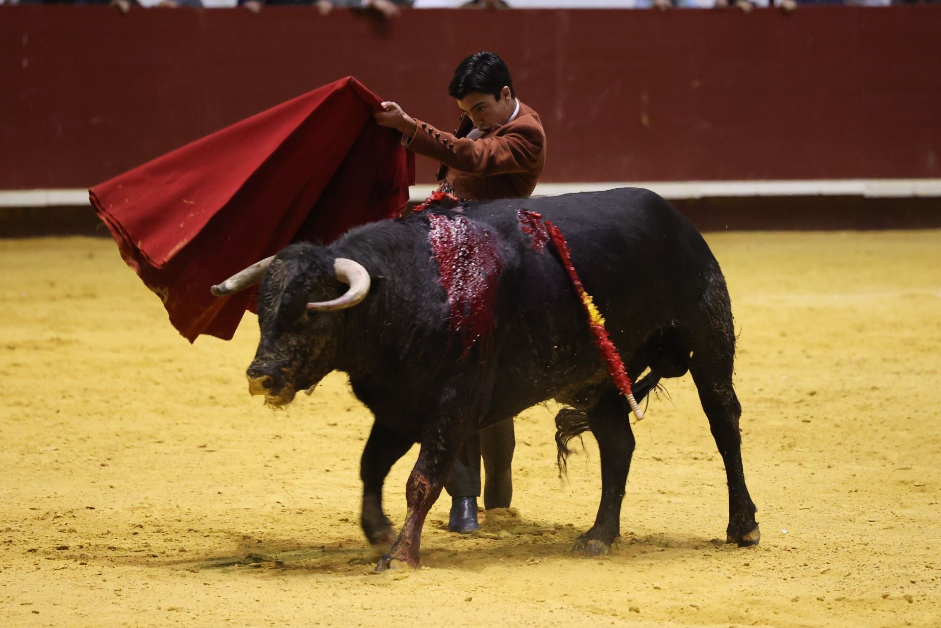 El novillero salmantino Marco Pérez da un pase de pecho.