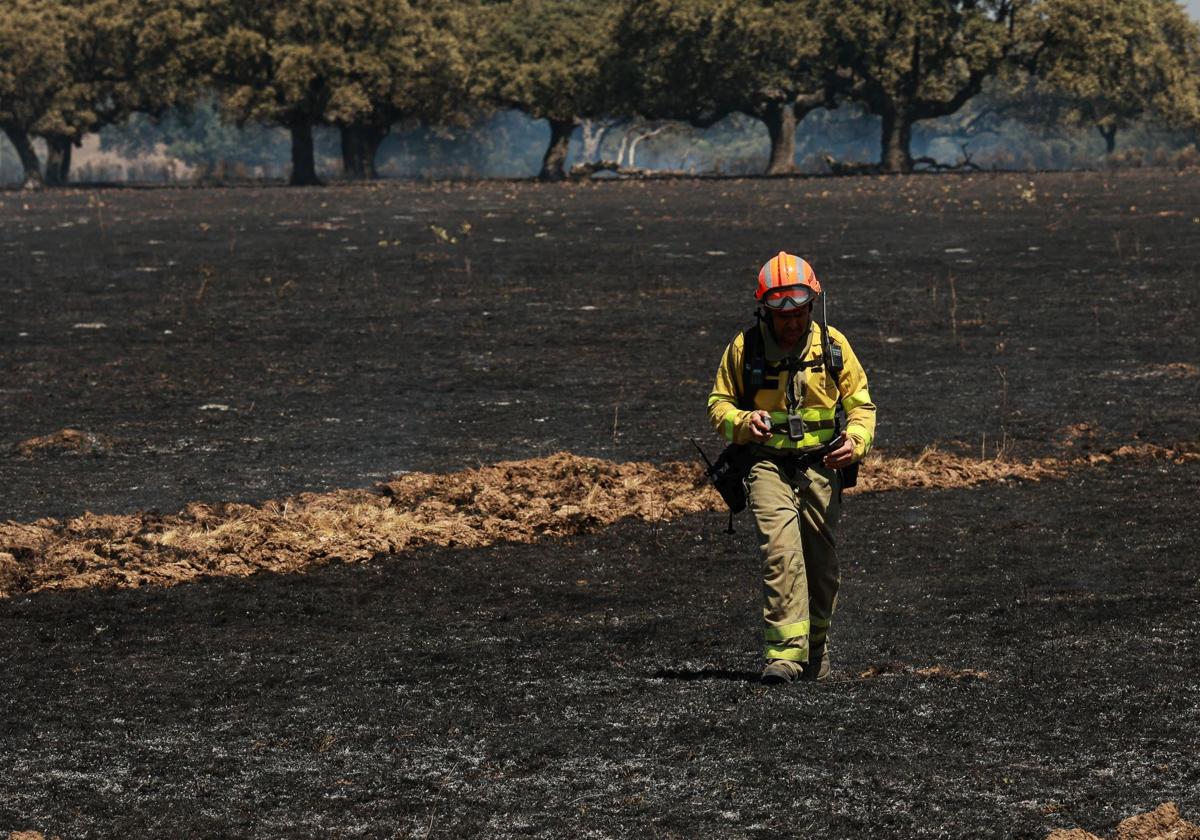 Un bombero forestal, en un incendio en Salamanca el verano pasado.