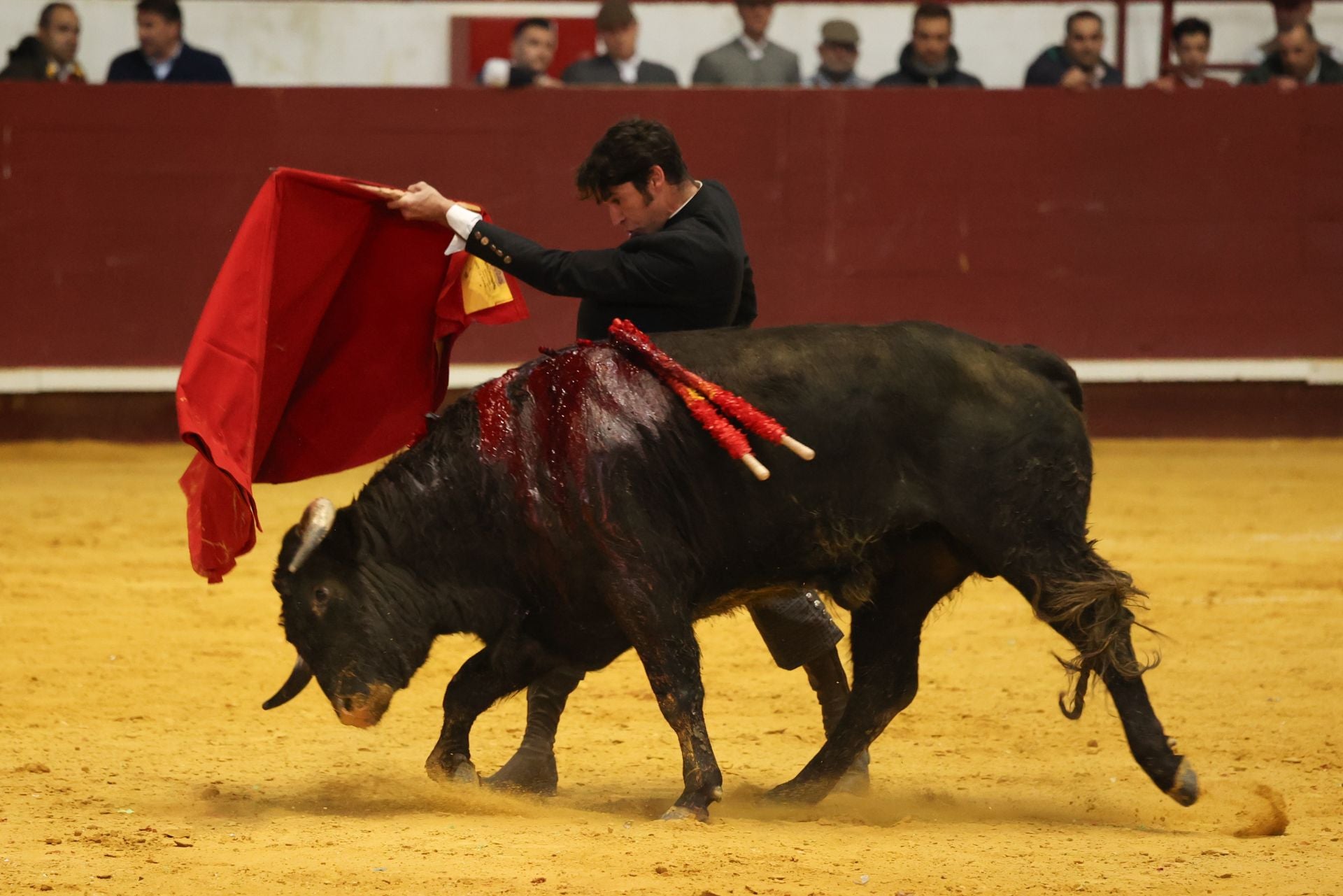 El IX Festival Taurino de La Flecha, en imágenes