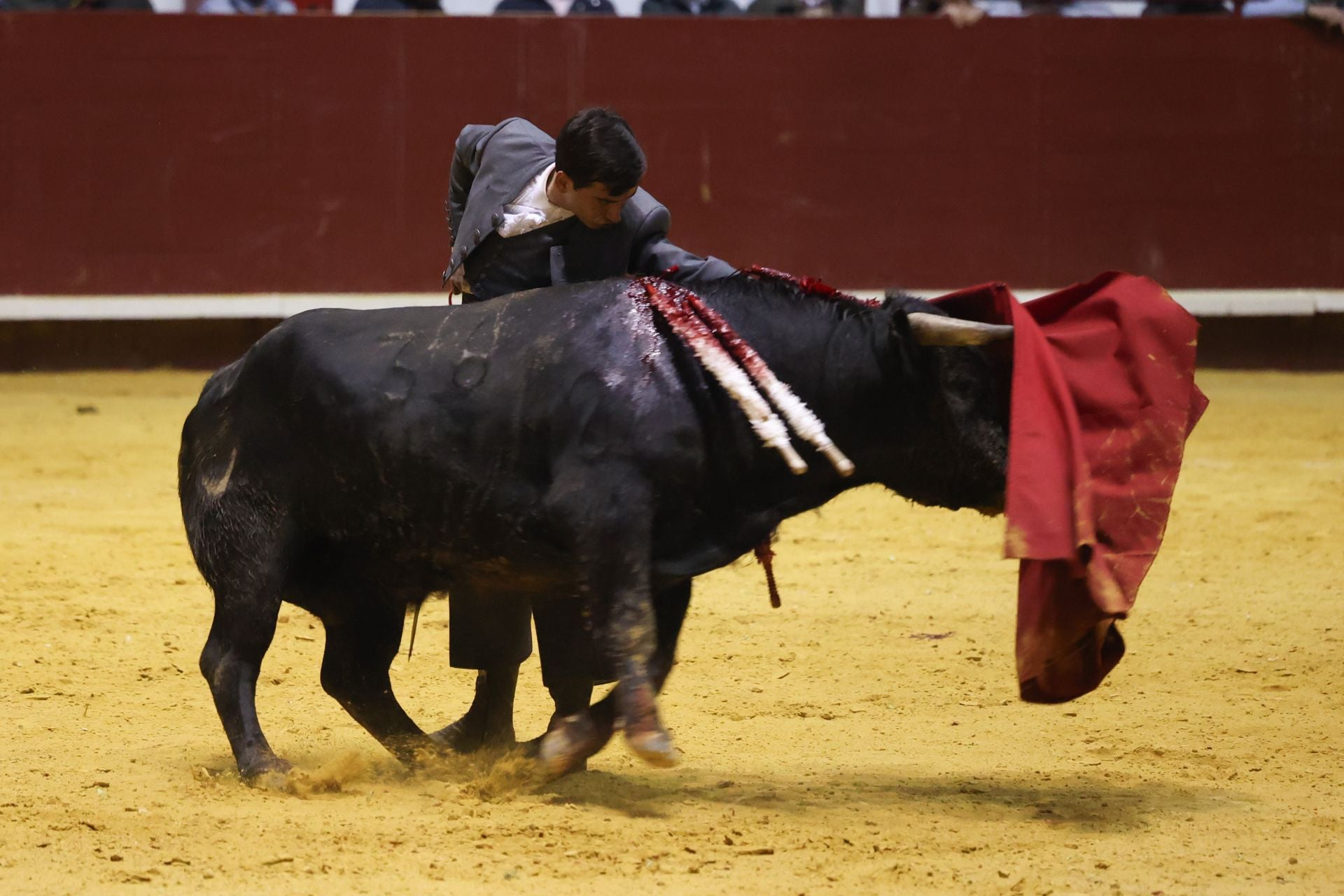 El IX Festival Taurino de La Flecha, en imágenes