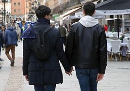 Una pareja camina de la mano por la avenida del Acueducto.