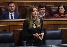 La vicepresidenta tercera, Sara Aagesen, este miércoles en el Congreso de los Diputados.