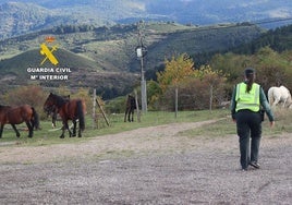 Investigación de la Guardia Civil en la zona.