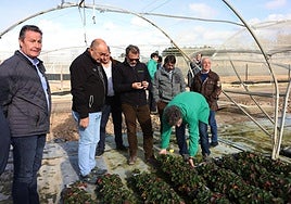 Visita del presidente de la Diputación a las instalaciones de Planasa.