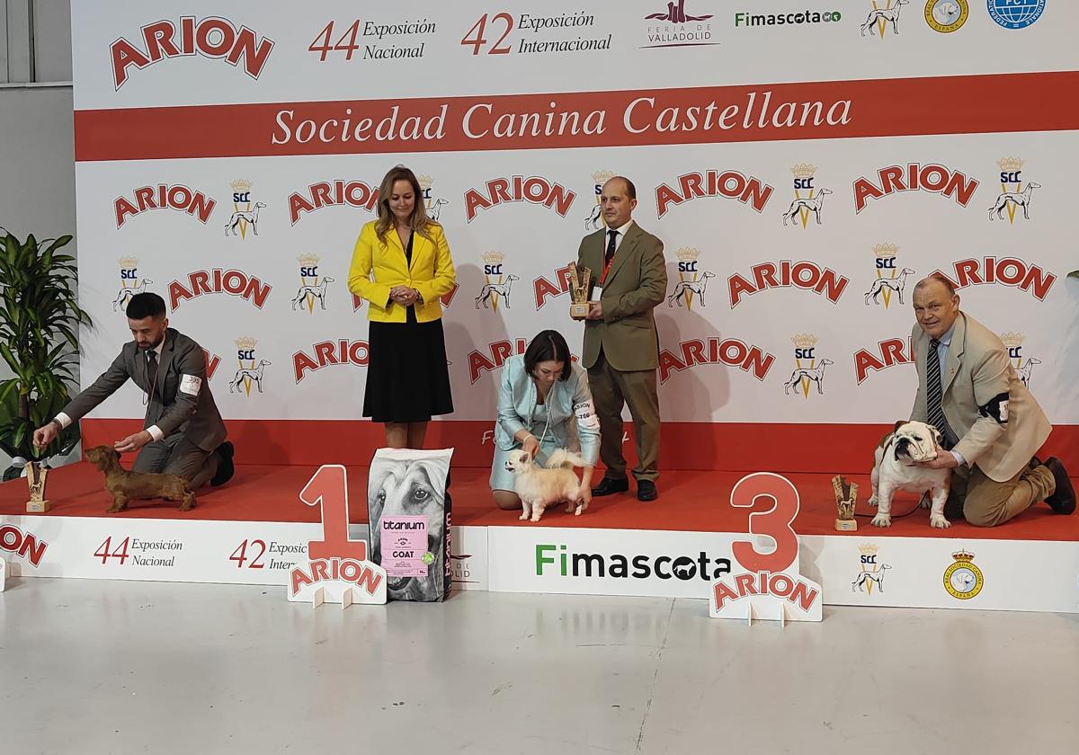 Más de 16.000 visitantes en la feria de animales Fimascota
