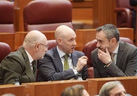 Los tres portavoces del grupo parlamentario Vox, Iñaki Sicilia, Carlos Menéndez y David Hierro, hablan durante el Pleno de este miércoles.