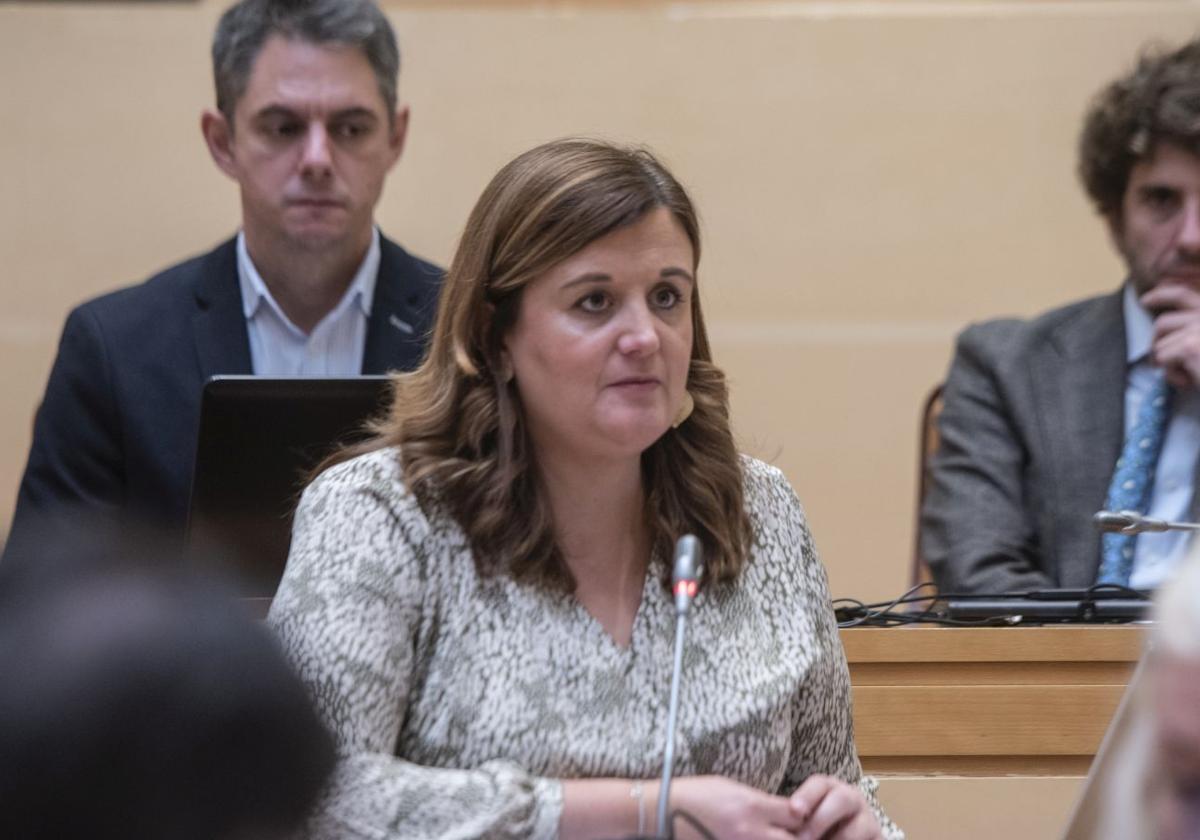 «Han abierto el cajón, han visto los proyectos más avanzados y han elegido»
