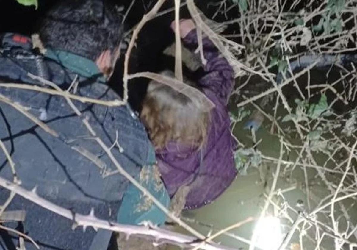 Las noticias más leídas del viernes 28 de febrero en El Norte de Castilla