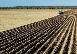 El futuro de la agricultura y ganadería familiar, a debate en el Congreso de UPA