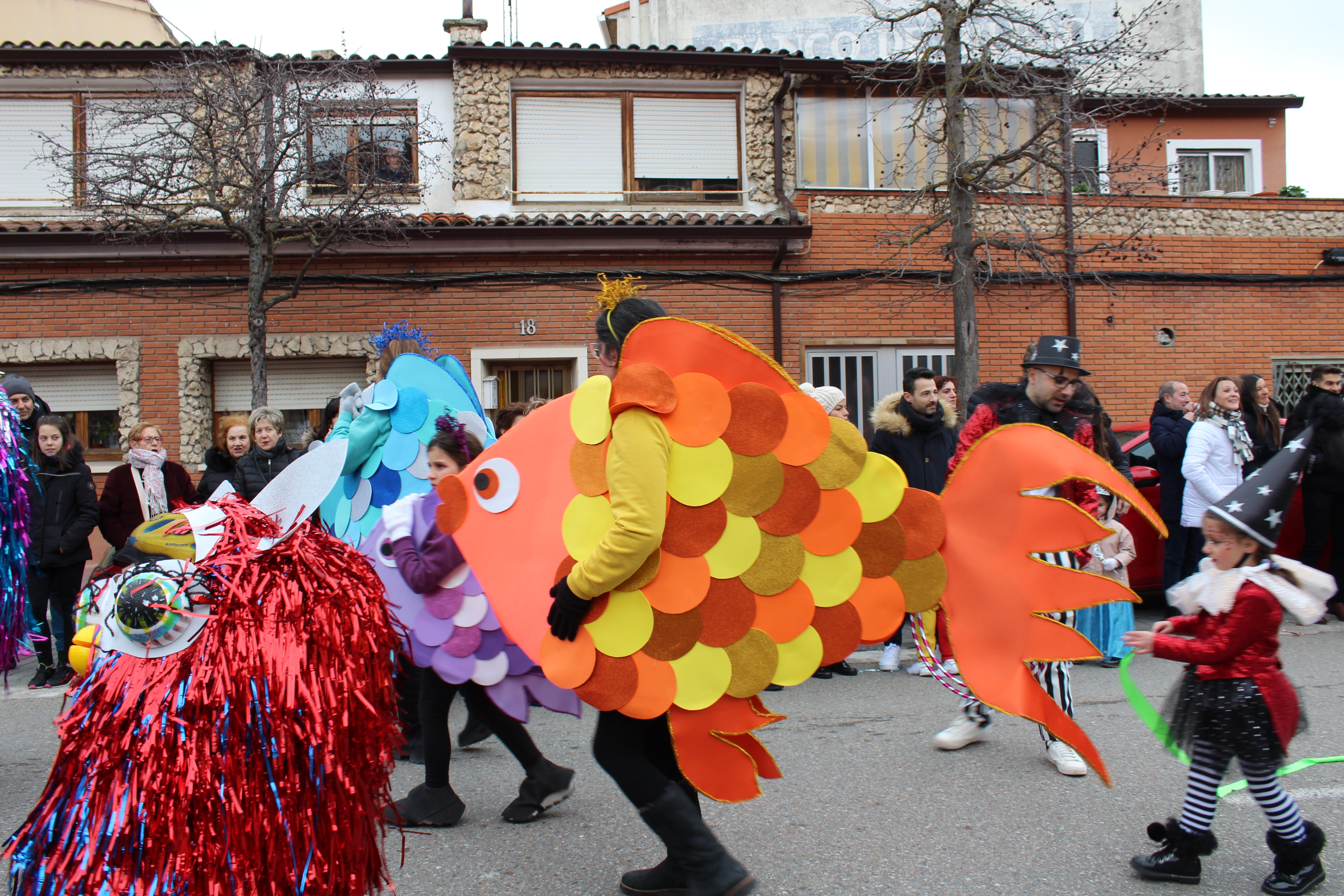 El Carnaval de Tudela de Duero, en imágenes