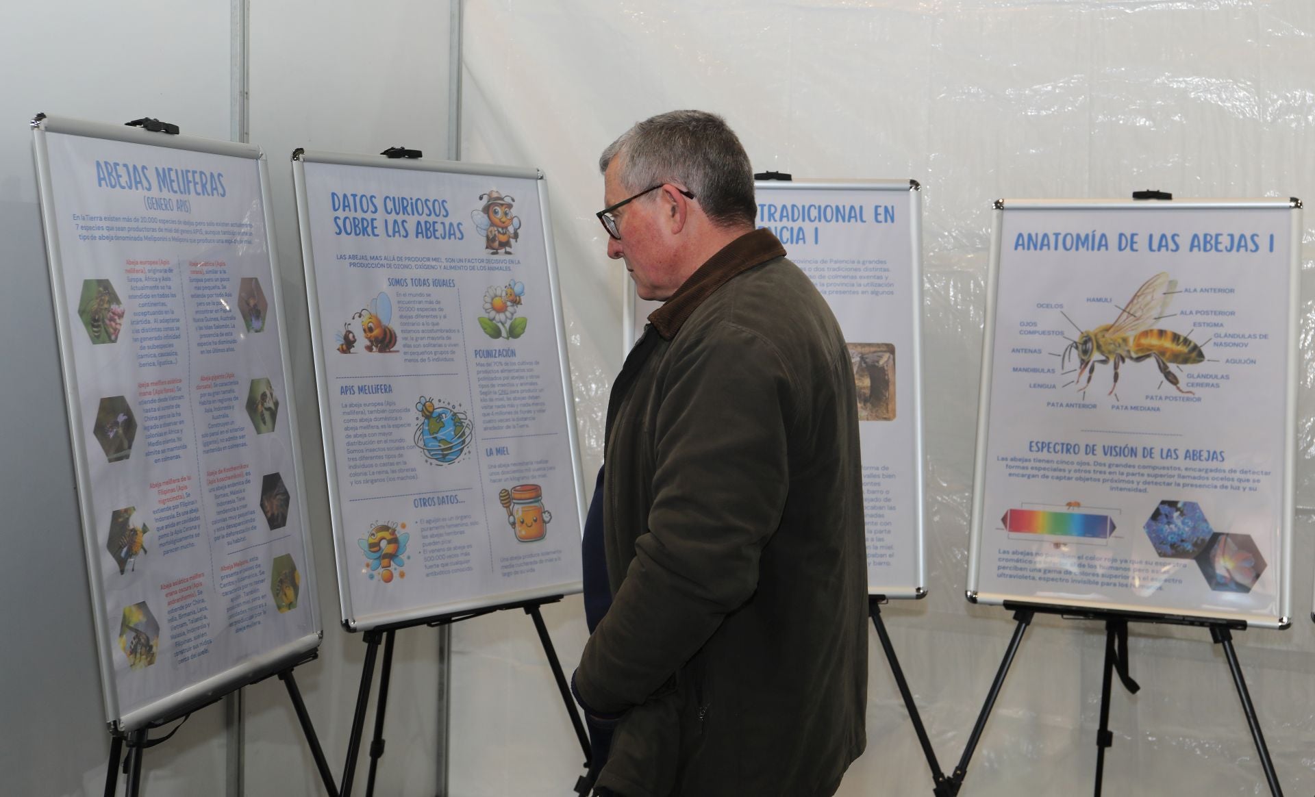 Así es la VI Feria Apícola de Castilla y León en Palencia