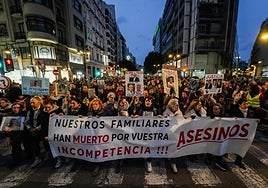 Manifestación para exigir la dimisión de Mazón,