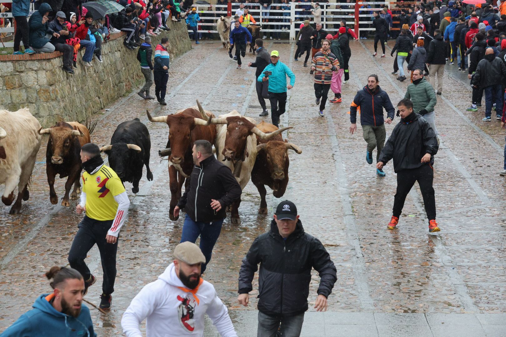 Lunes del Carnaval del Toro en Ciudad Rodrigo