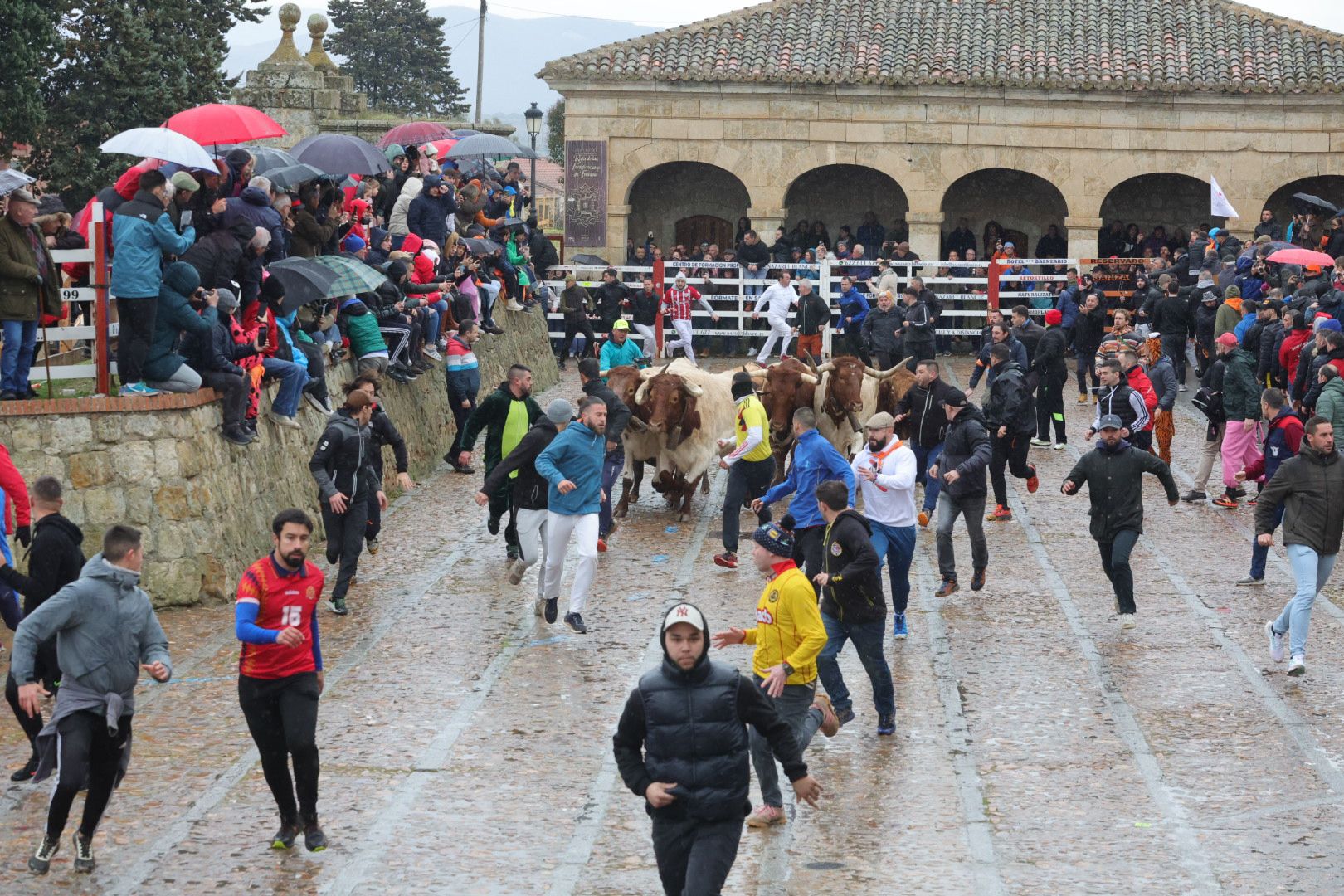 Lunes del Carnaval del Toro en Ciudad Rodrigo