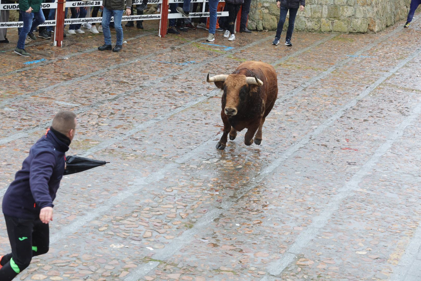 Lunes del Carnaval del Toro en Ciudad Rodrigo