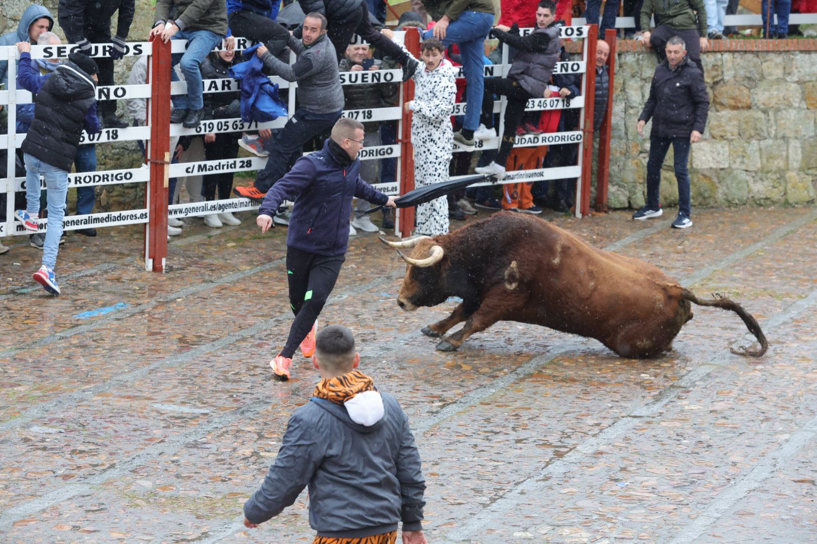 Lunes del Carnaval del Toro en Ciudad Rodrigo