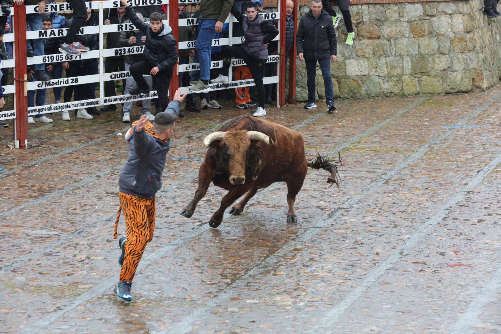 Lunes del Carnaval del Toro en Ciudad Rodrigo