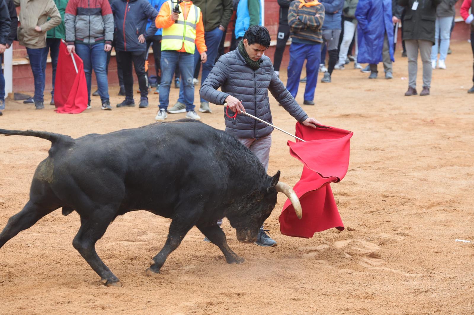 Lunes del Carnaval del Toro en Ciudad Rodrigo