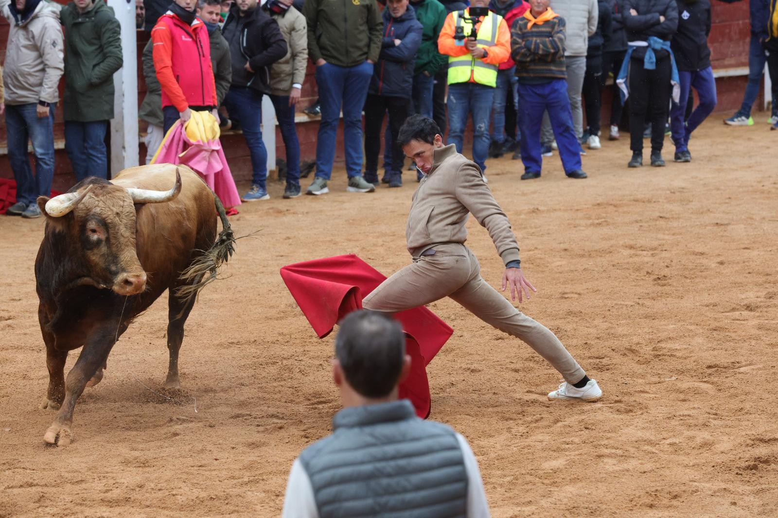 Lunes del Carnaval del Toro en Ciudad Rodrigo
