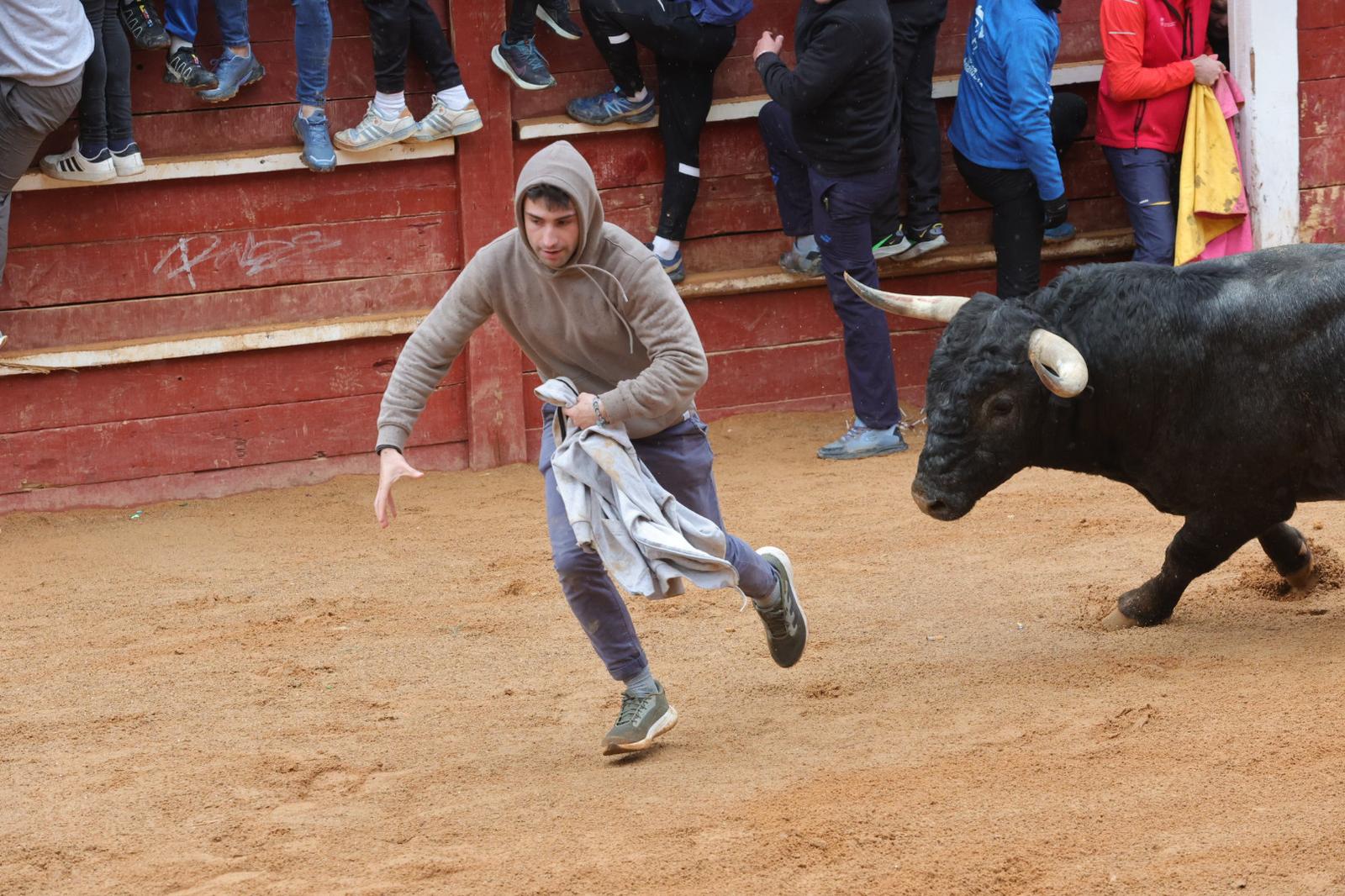Lunes del Carnaval del Toro en Ciudad Rodrigo