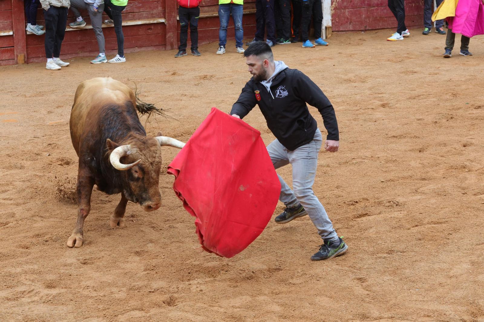 Lunes del Carnaval del Toro en Ciudad Rodrigo