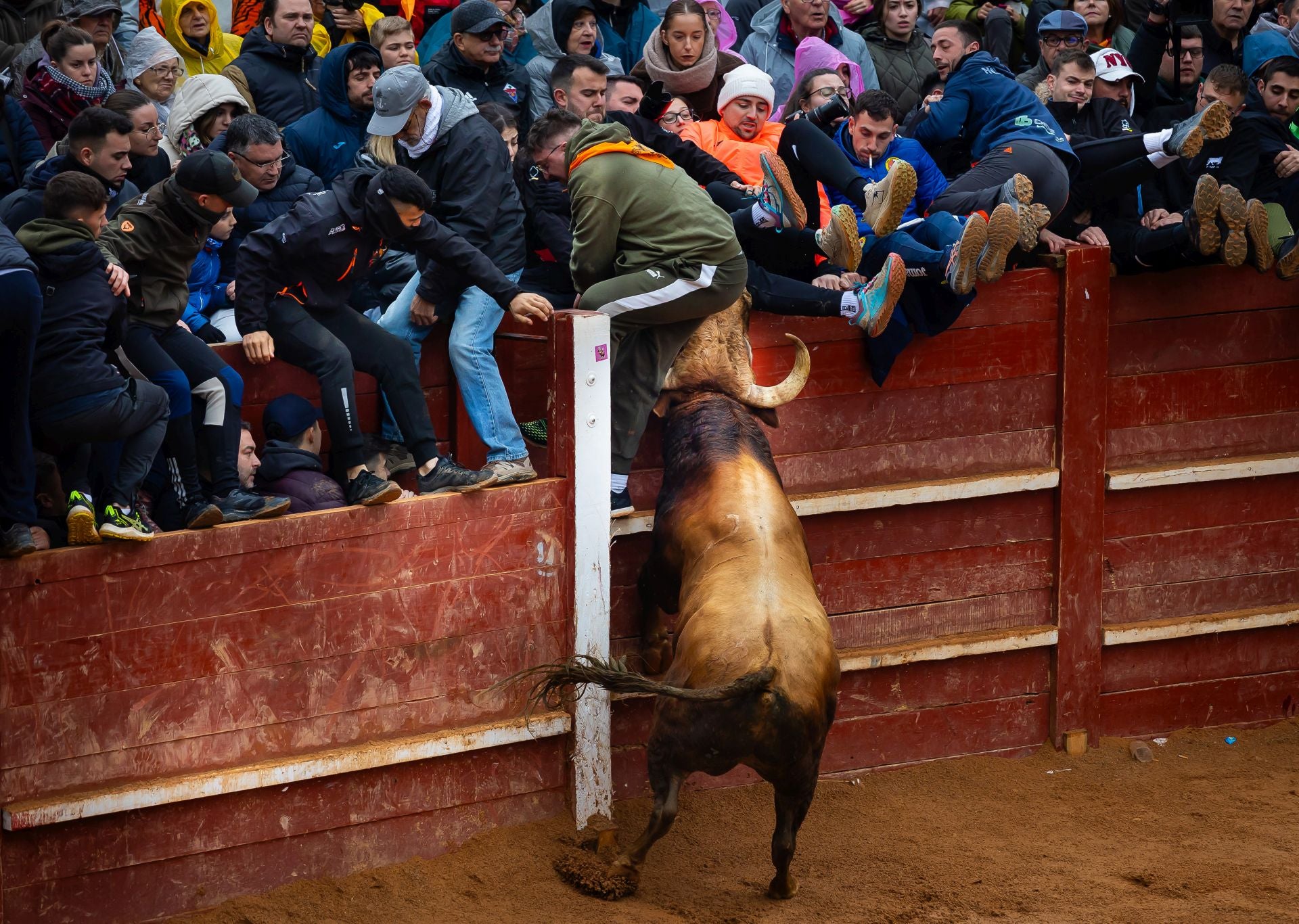 Lunes del Carnaval del Toro en Ciudad Rodrigo