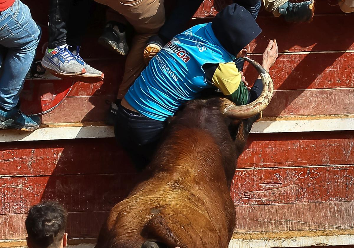 Así han sido las cogidas a los tres corneados en Ciudad Rodrigo