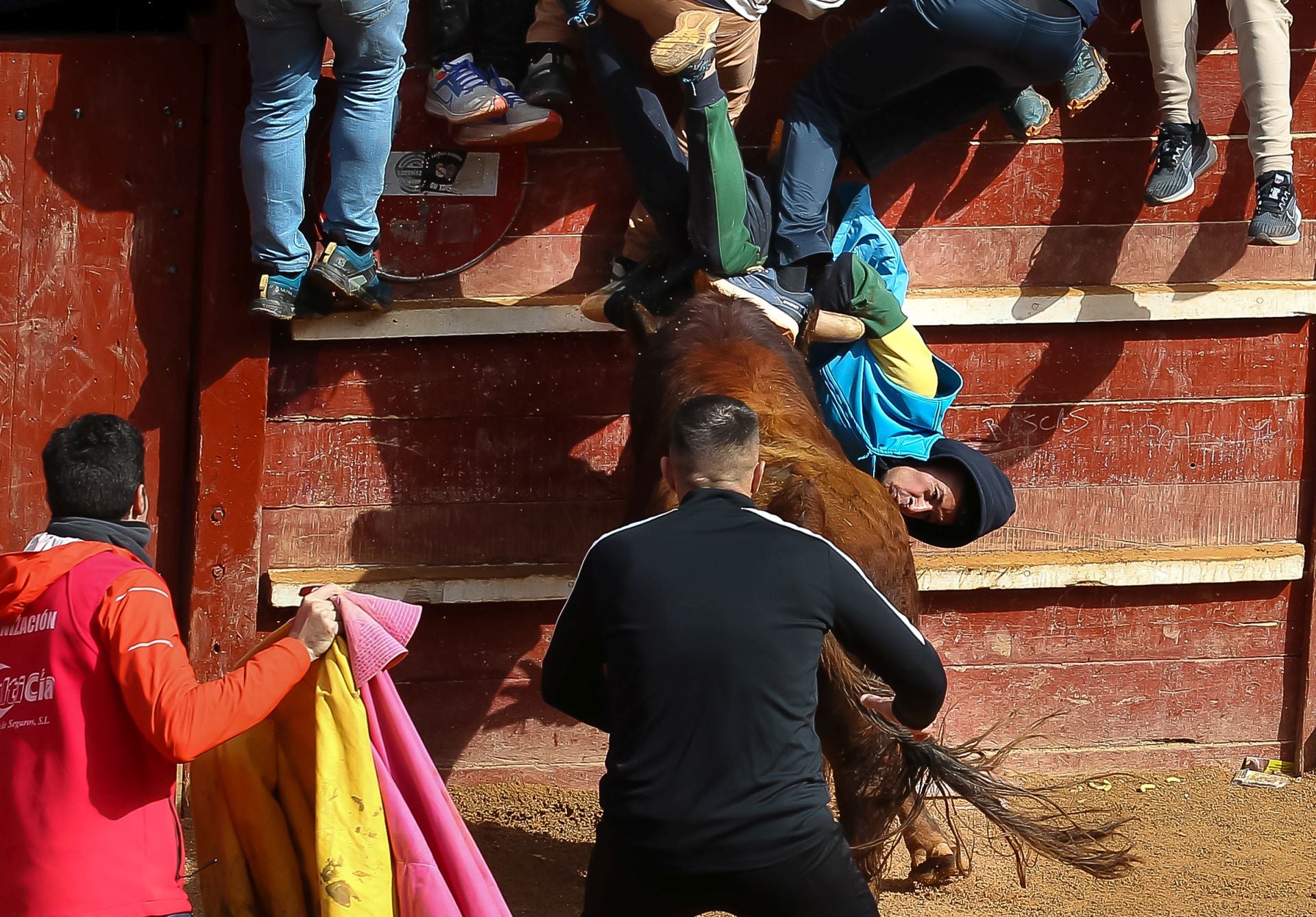Así han sido las cogidas a los tres corneados en Ciudad Rodrigo