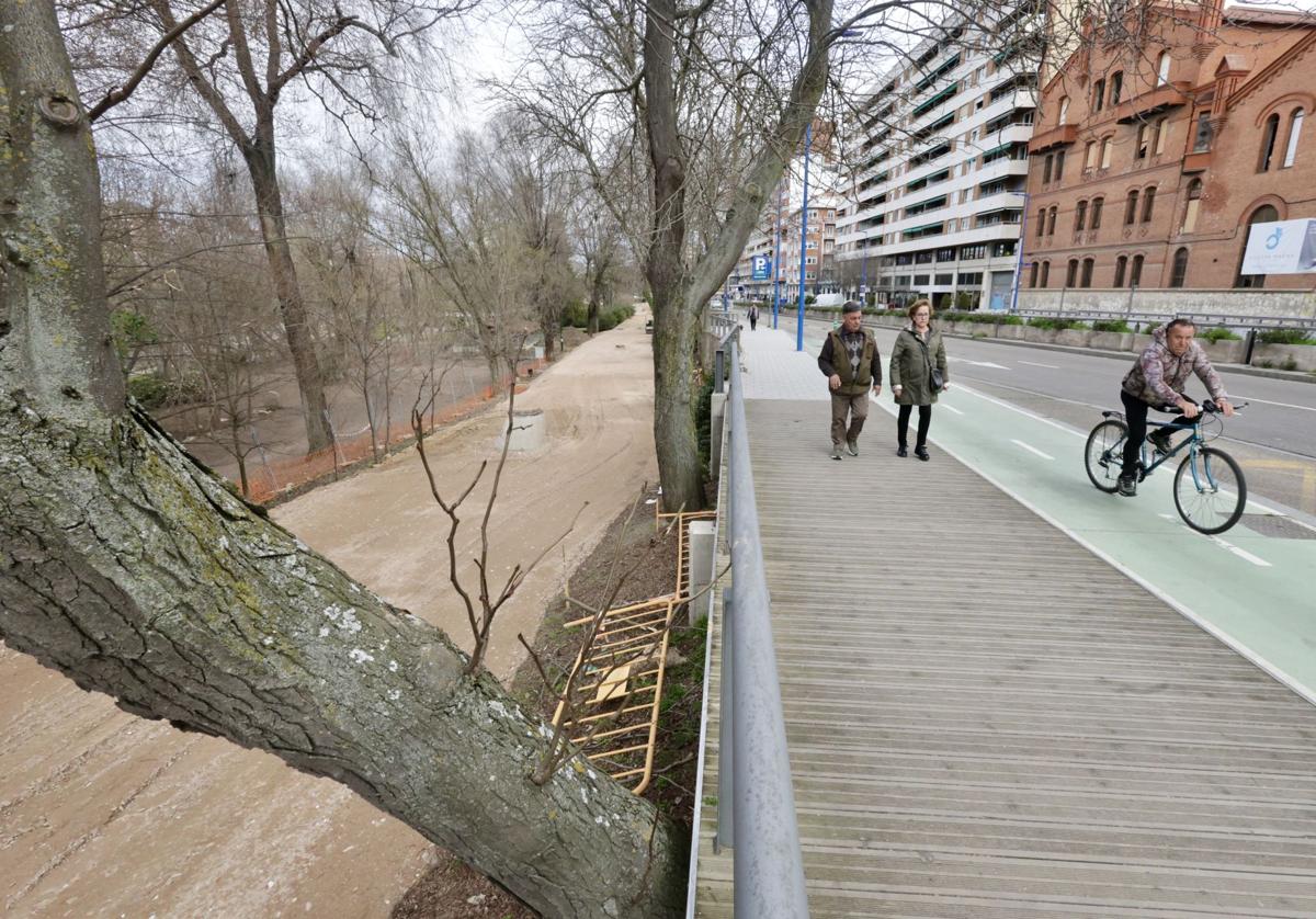 Obra en el último tramo del nuevo carril bici de Isabel la Católica que sustituirá al actual.