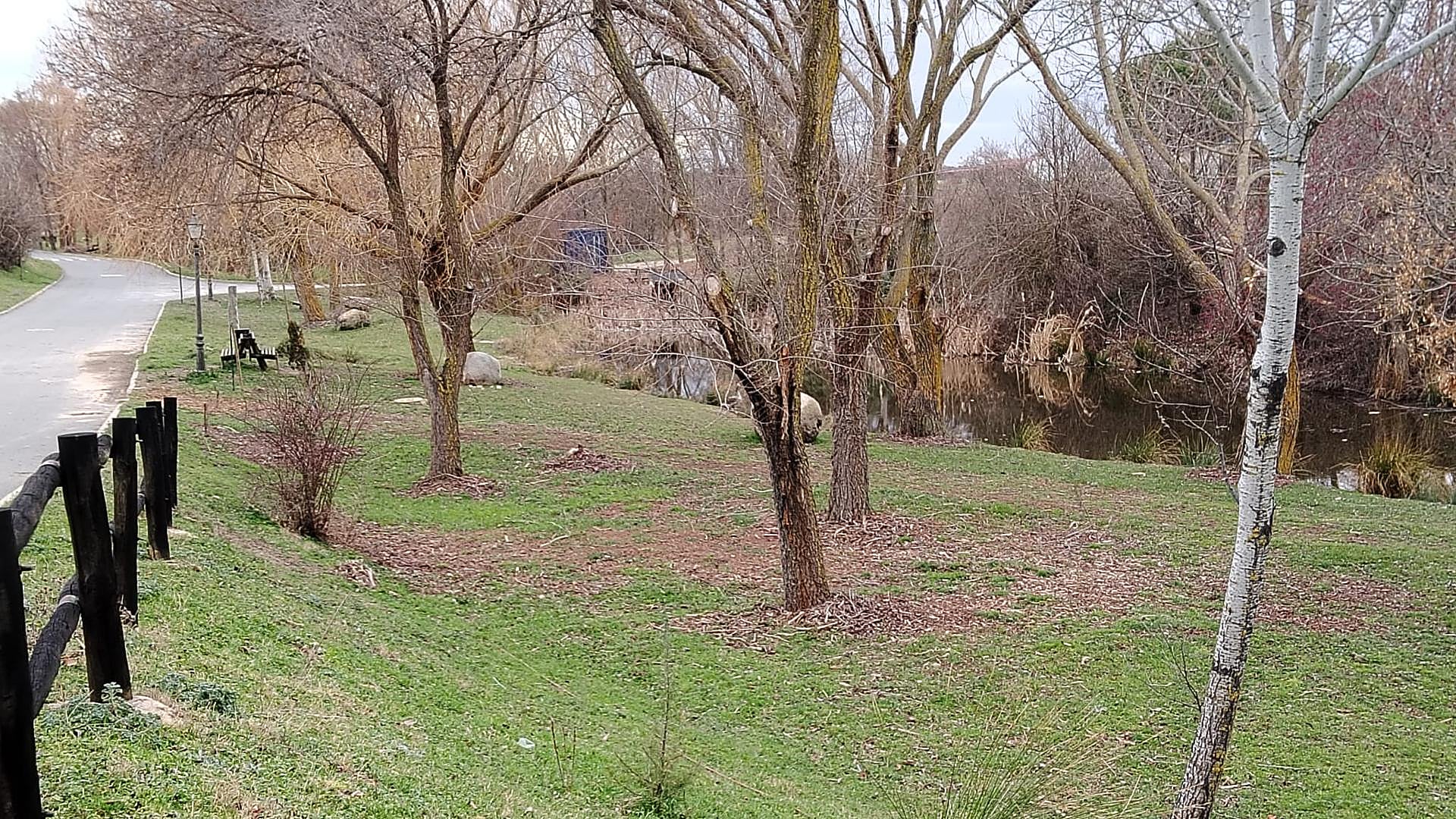El parque de la Virgen de la Salud se va a convertir en un gran jardín.