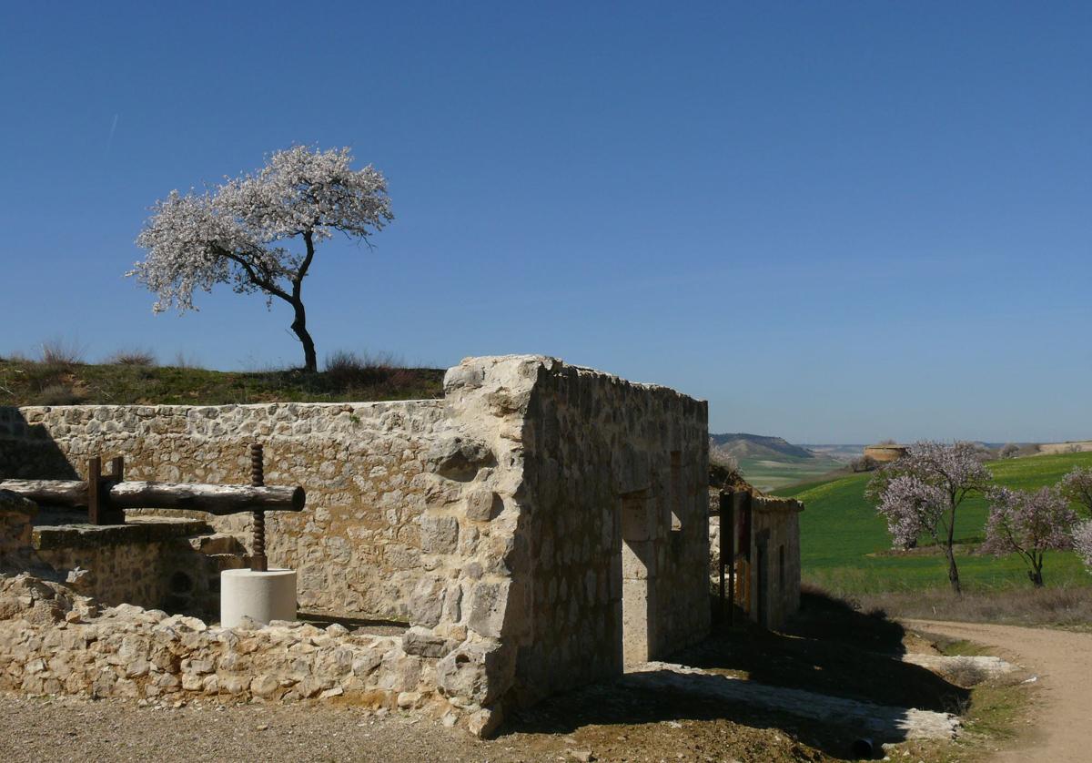 Imagen de Galeria 