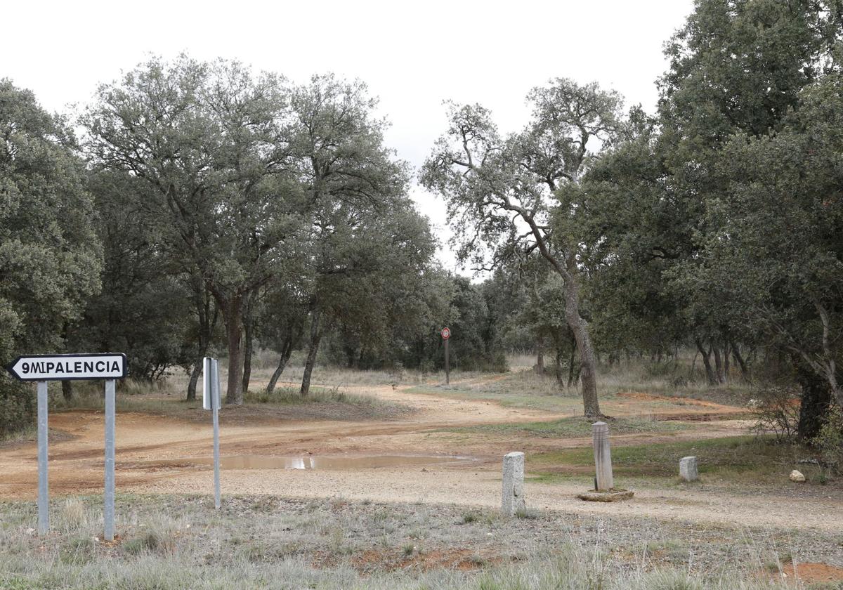 Vamos Palencia incluye al Monte el Viejo en la negociación del presupuesto