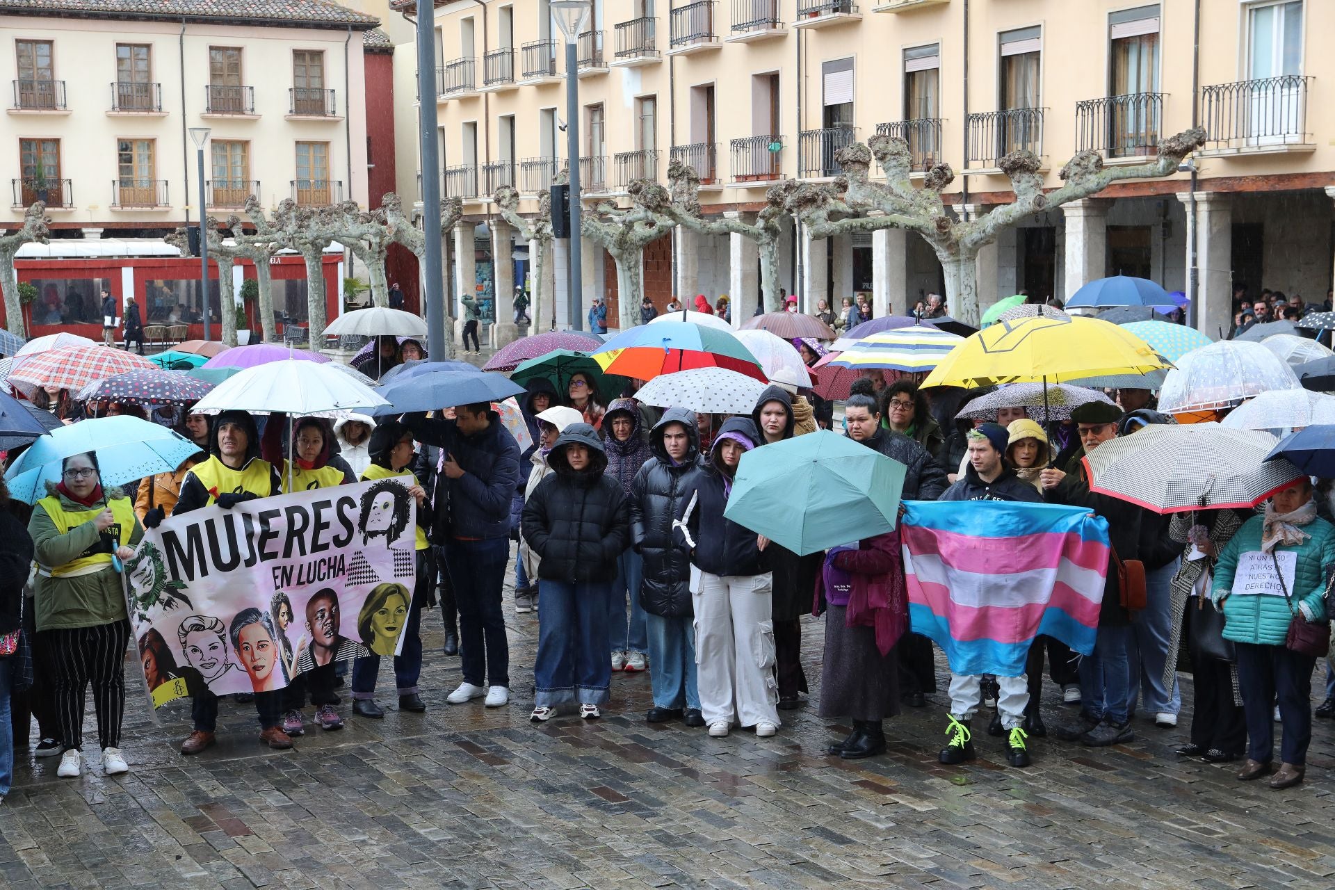 Palencia se tiñe de morado por el 8M